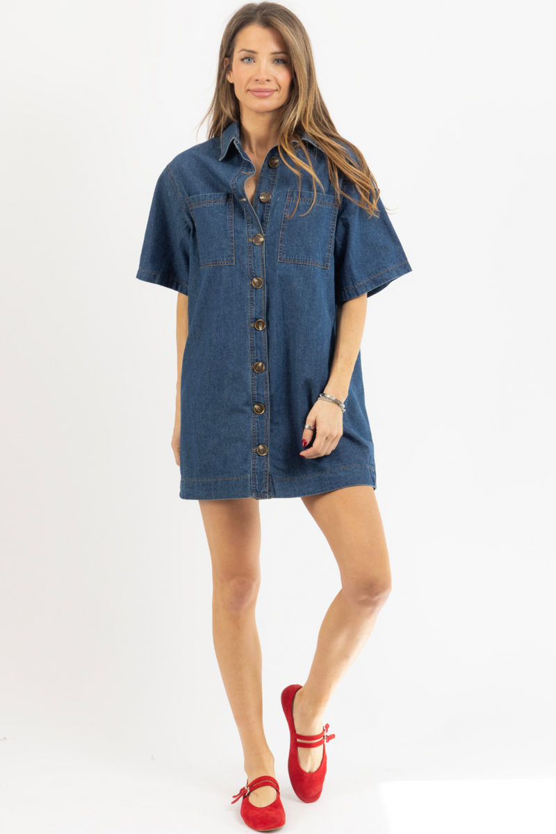 AINSLEY DENIM DRESS