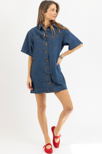 AINSLEY DENIM DRESS