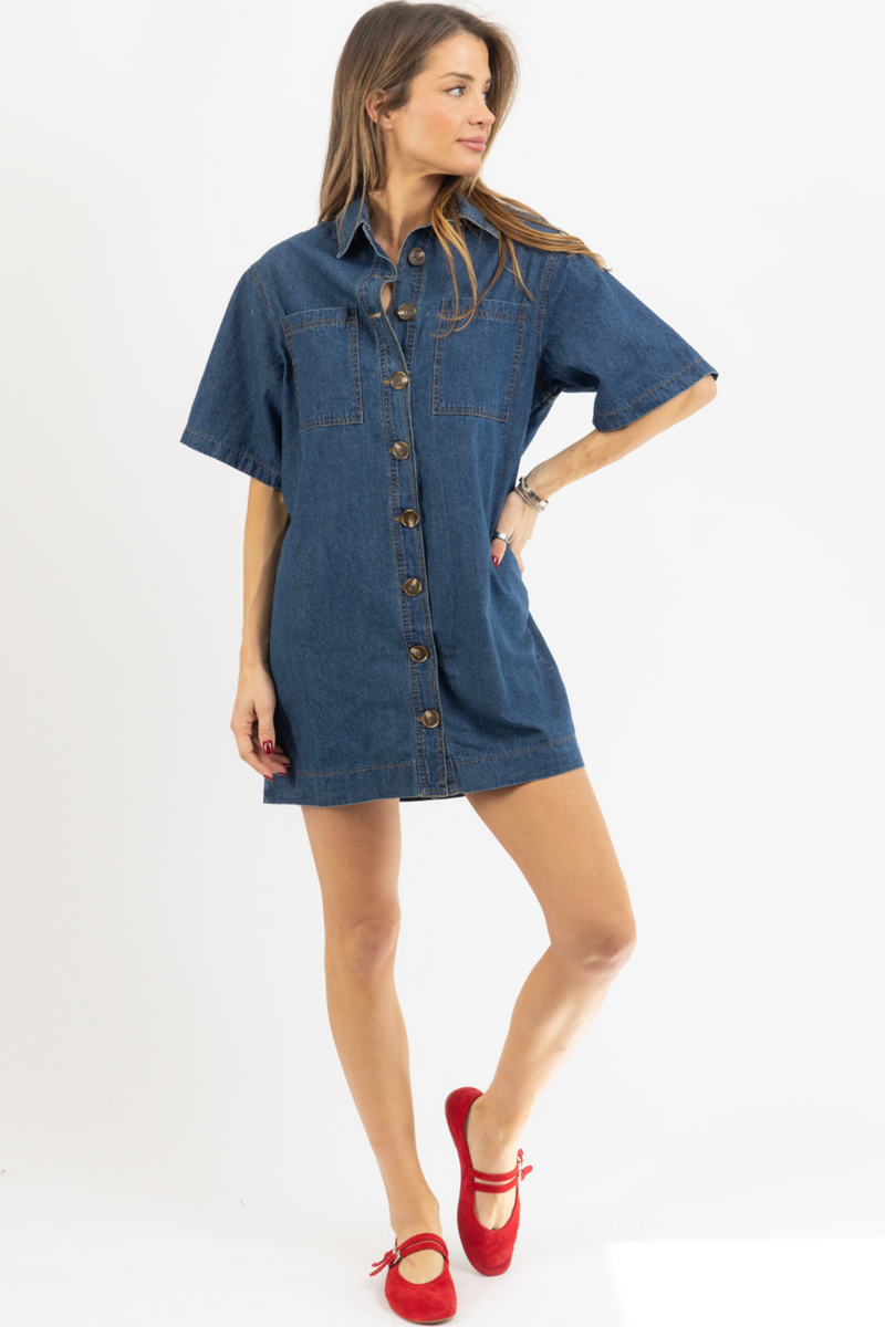 AINSLEY DENIM DRESS