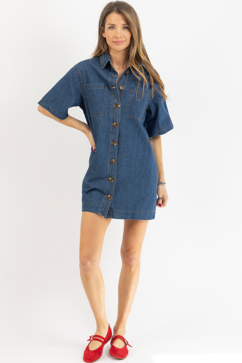 AINSLEY DENIM DRESS